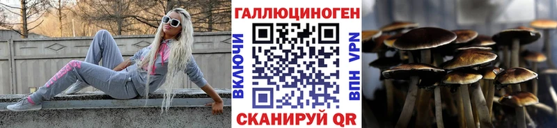 Псилоцибиновые грибы прущие грибы  Нижний Ломов 